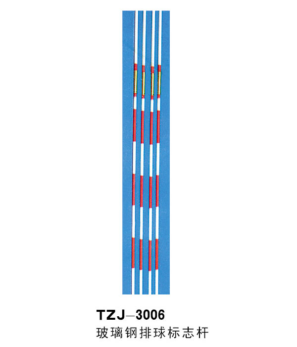 TZJ-3006־
