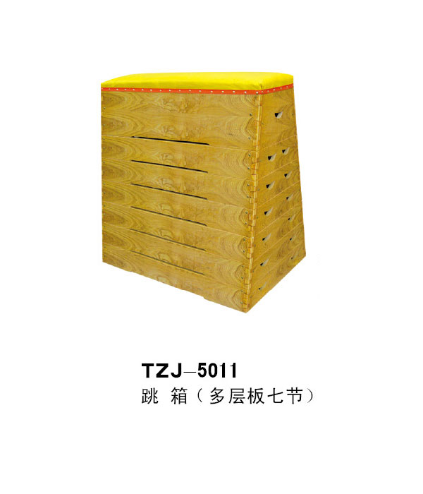 TZJ-5011
