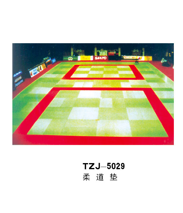 TZJ-5029
