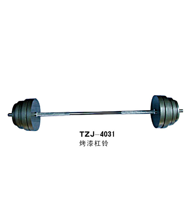 TZJ-4031